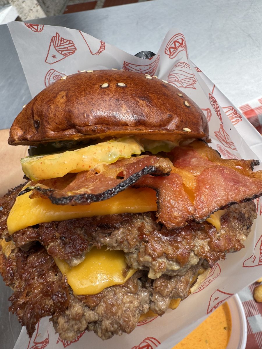 HAMBURGUESA CASA 23