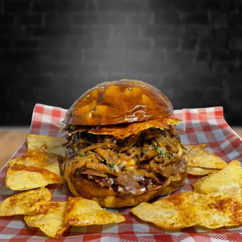 HAMBURGUESA DE BIRRIA