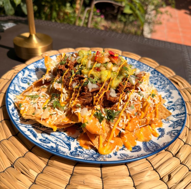 NACHOS DE BIRRIA