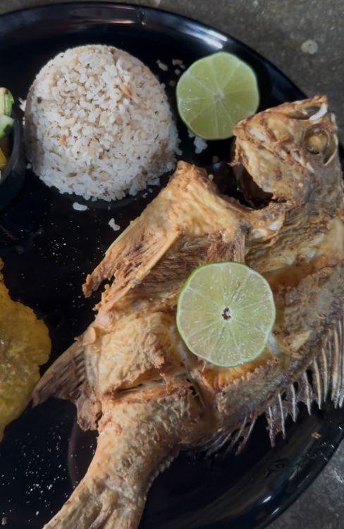 Mojarra de Mar