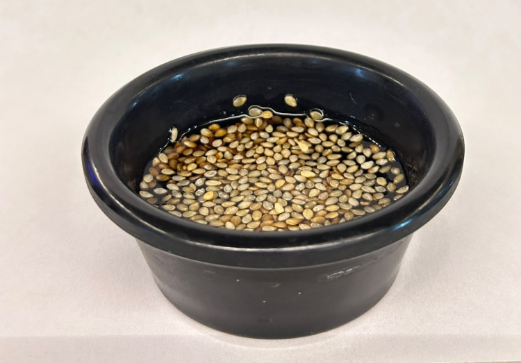SALSA TERIYAKI CON AJONJOLI