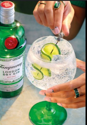 Gin & Tonic Tanqueray