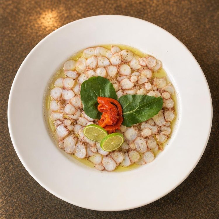 Pulpo