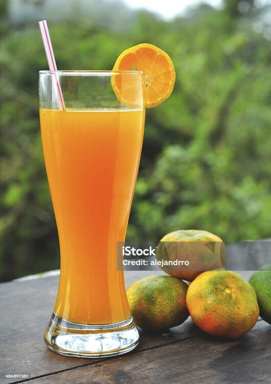 Jugo de Mandarina