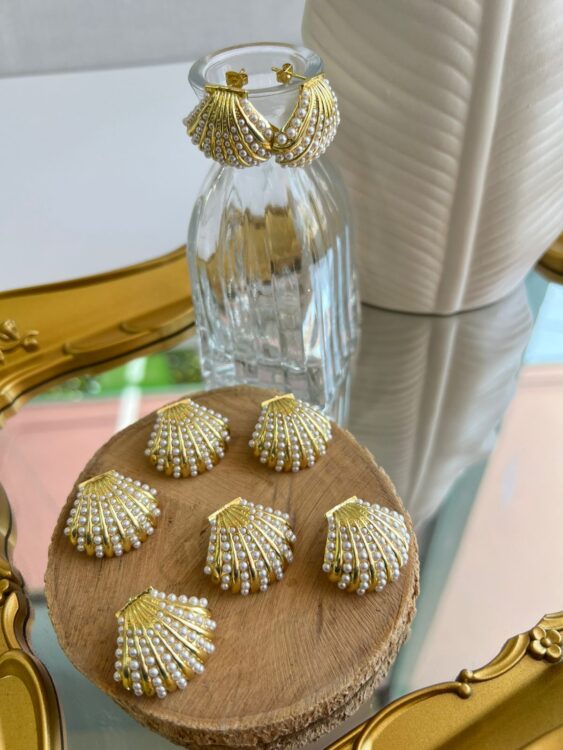 Topo concha mar 419148