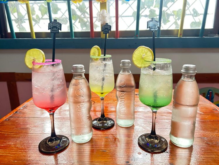 SODAS MICHELADAS FRUIT