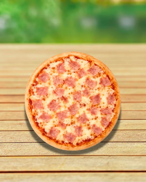 Pizza Individual - Sabores Surtidos