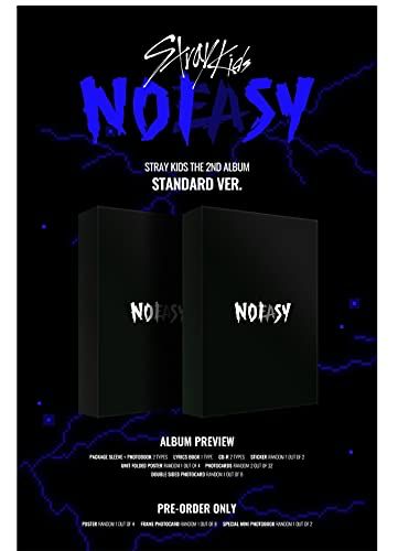 No Easy Stray Kids