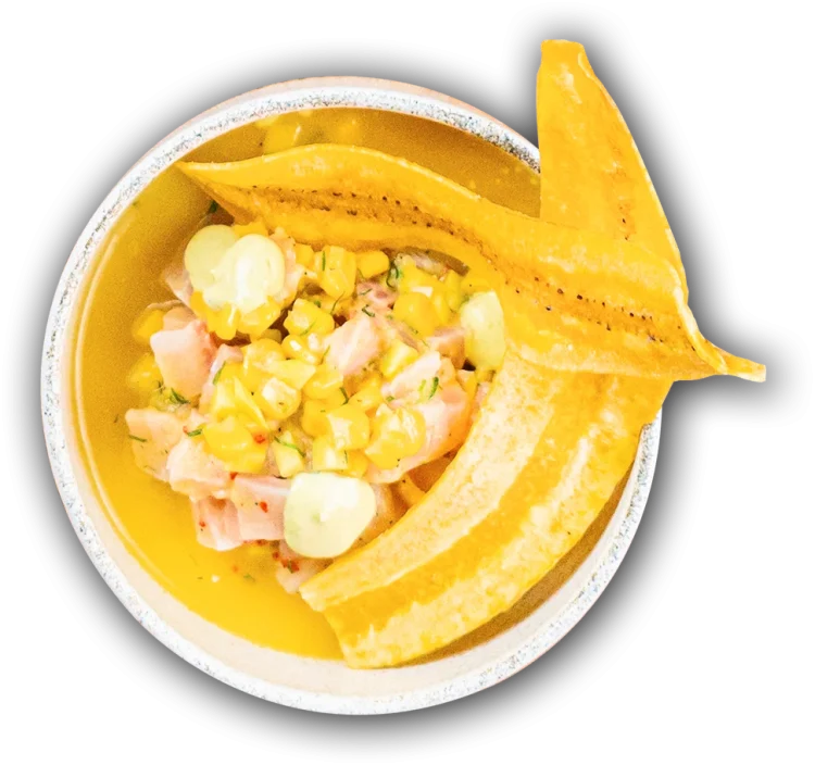 CEVICHE DE PESCADO