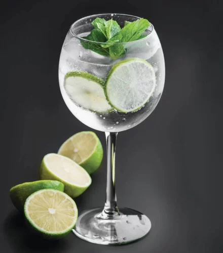 Gin Tonic