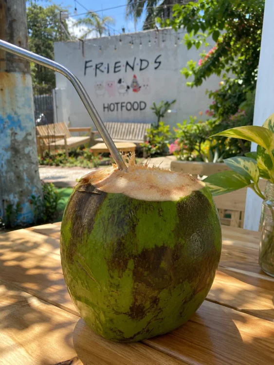 Coco frío natural 🥥🌴