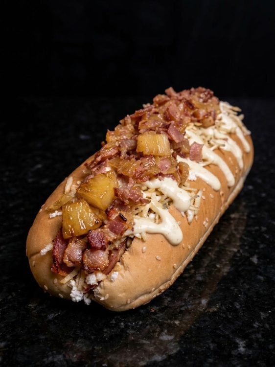 Perro Suizo Ítalo Hawaiano